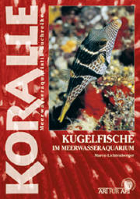 Kugelfische