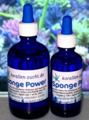 Sponge Power Konzentrat 50ml