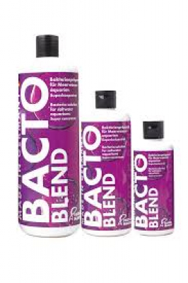 Bacto  Blend 1000ml