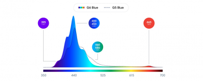 Radion XR15 G6 Blue