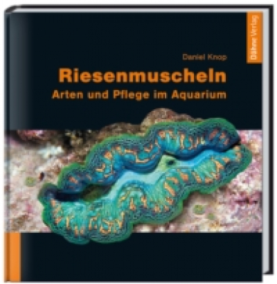 Riesenmuscheln